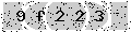 verify code