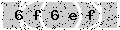 verify code