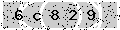 verify code