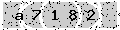 verify code
