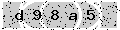 verify code