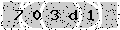 verify code