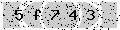 verify code