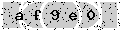 verify code
