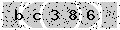 verify code