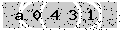 verify code