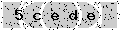 verify code