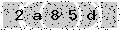 verify code