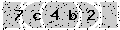 verify code