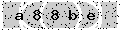 verify code