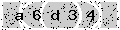verify code