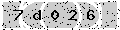 verify code