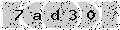 verify code