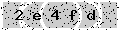 verify code