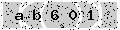 verify code