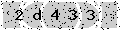 verify code