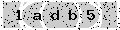 verify code