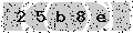 verify code