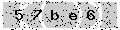 verify code