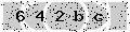 verify code