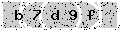 verify code