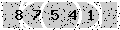 verify code