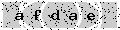 verify code