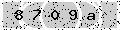 verify code