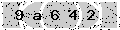 verify code