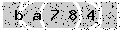 verify code