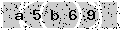 verify code