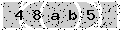 verify code