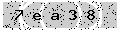 verify code