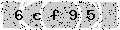 verify code
