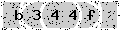 verify code