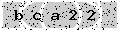 verify code