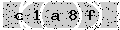 verify code