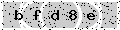verify code