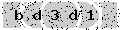 verify code