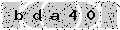 verify code