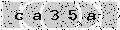 verify code