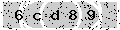 verify code