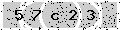 verify code