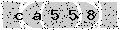 verify code