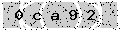verify code