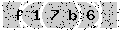 verify code