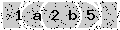verify code
