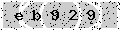verify code
