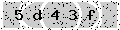 verify code