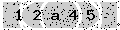 verify code